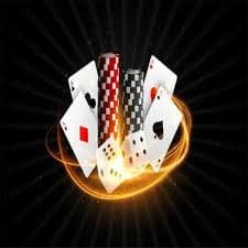 bet81